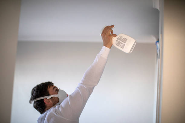 Best Bathroom Mold Remediation in Licking, MO